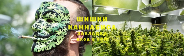 шишки Алексеевка
