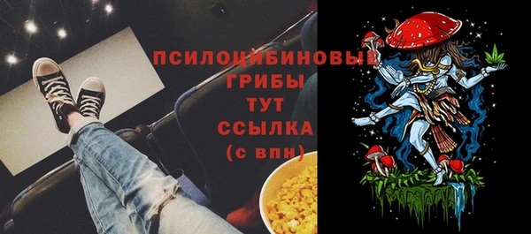 СК Алзамай