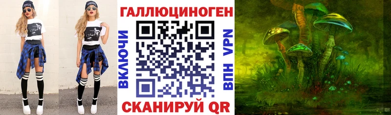 Псилоцибиновые грибы Psilocybe  Щигры 