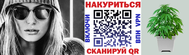 Бошки марихуана семена Щигры